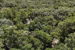 6970 NE 74th St, Gainesville, FL 32609 - Photo 37