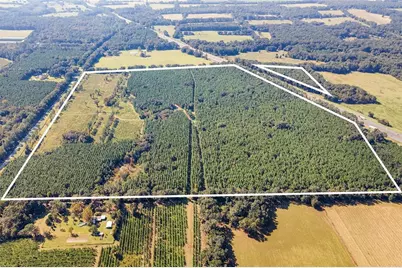 21400 NW County Road 235A, Alachua, FL 32615 - Photo 7