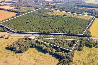 21400 NW County Road 235A, Alachua, FL 32615 - Photo 13