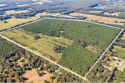 21400 NW County Road 235A, Alachua, FL 32615 - Photo 5