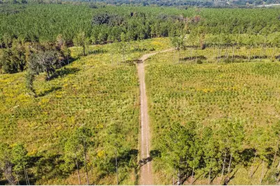 21400 NW County Road 235A, Alachua, FL 32615 - Photo 17