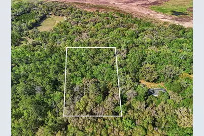 8856 NW 230th Street, Micanopy, FL 32667 - Photo 29