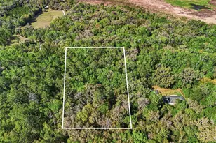 8856 NW 230th St, Micanopy, FL 32667 - Photo 29