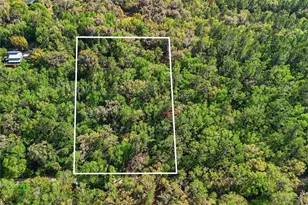 8856 NW 230th St, Micanopy, FL 32667 - Photo 31