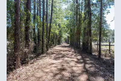 609 NW 96th Place, Branford, FL 32008 - Photo 41