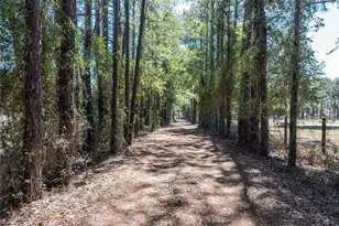 609 NW 96th Pl, Branford, FL 32008 - Photo 41