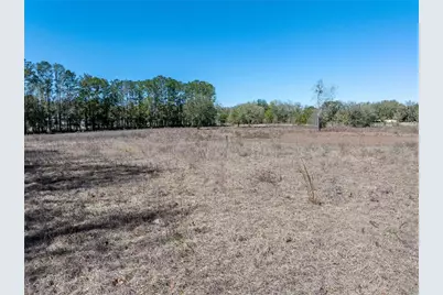 609 NW 96th Place, Branford, FL 32008 - Photo 17