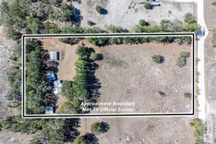 609 NW 96th Pl, Branford, FL 32008 - Photo 13