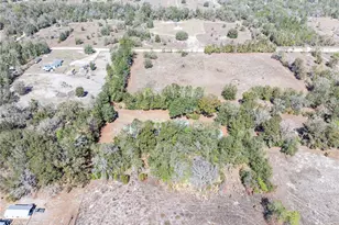 609 NW 96th Pl, Branford, FL 32008 - Photo 9