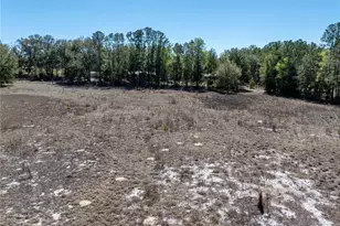 609 NW 96th Pl, Branford, FL 32008 - Photo 15