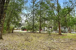 22215 135th Ct, O'Brien, FL 32071 - Photo 39