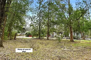 22215 135th Ct, O'Brien, FL 32071 - Photo 47