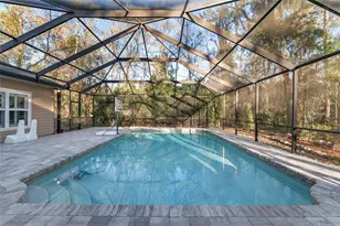 9601 NW 62 Ln, Gainesville, FL 32653 - Photo 51