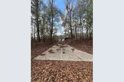 1859 NW 82nd Terrace, Bell, FL 32619 - Photo 23