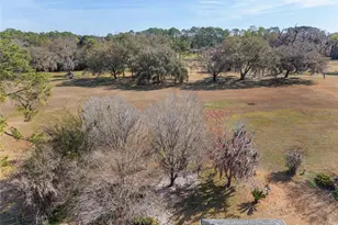 6307 SW 35th Way, Gainesville, FL 32608 - Photo 85