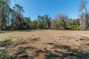 983 S County Road 21, Hawthorne, FL 32640 - Photo 37
