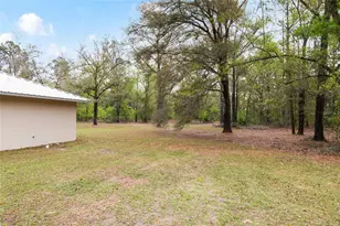 2610 NE 80th Ave, High Springs, FL 32643 - Photo 27