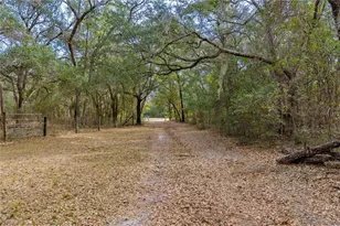 19514 N County Road 225, Gainesville, FL 32609 - Photo 49