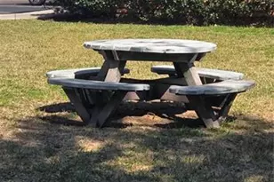 3970 SW 20th Ave, Gainesville, FL 32607 - Photo 29