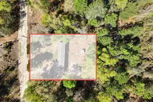 11061 NE 65 Ln, Williston, FL 32696 - Photo 27