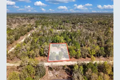 11061 NE 65th Lane, Williston, FL 32696 - Photo 29