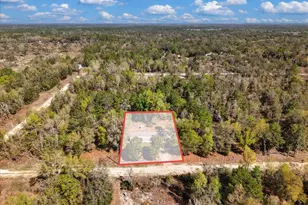 11061 NE 65 Ln, Williston, FL 32696 - Photo 29