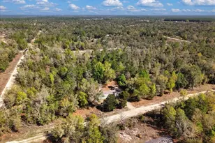 11061 NE 65 Ln, Williston, FL 32696 - Photo 27