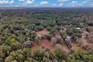 12290 NW 85th Ave, Chiefland, FL 32626 - Photo 39