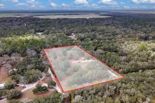 12290 NW 85th Ave, Chiefland, FL 32626 - Photo 33