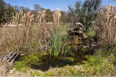 25228 NW 158th Avenue, High Springs, FL 32643 - Photo 43