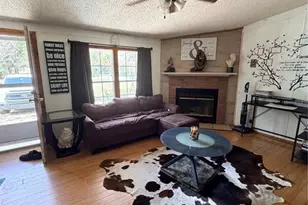 1403 St Nicholas Ave, Christmas, FL 32709 - Photo 3