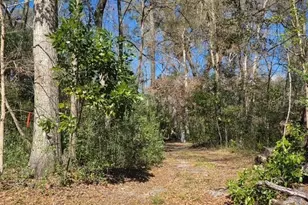 1187 SW Boston Terrace, Fort White, FL 32038 - Photo 11