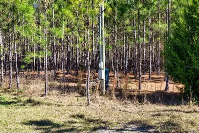 000 NW 60th Ave, Chiefland, FL 32626 - Photo 11