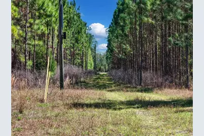 000 NW 60th Ave, Chiefland, FL 32626 - Photo 7