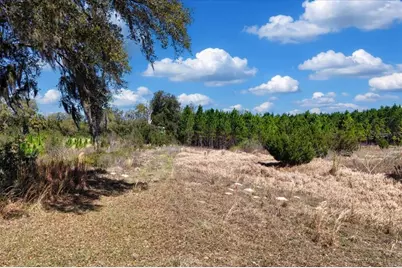 000 NW 60th Ave, Chiefland, FL 32626 - Photo 3