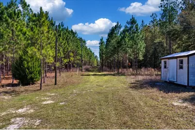 000 NW 60th Ave, Chiefland, FL 32626 - Photo 5