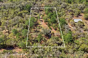 1131 SW 166th St, Newberry, FL 32669 - Photo 9