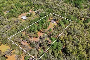 1131 SW 166th St, Newberry, FL 32669 - Photo 5