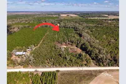 000 SW 80th Street, Trenton, FL 32693 - Photo 13