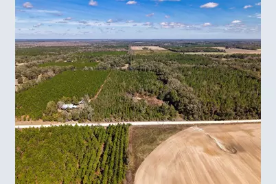 000 SW 80th Street, Trenton, FL 32693 - Photo 5