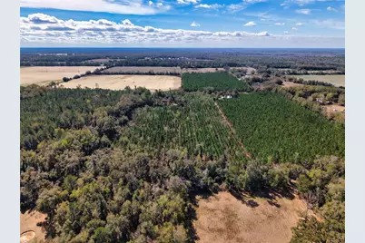 000 SW 80th Street, Trenton, FL 32693 - Photo 7