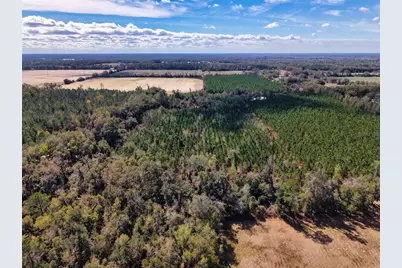 000 SW 80th Street, Trenton, FL 32693 - Photo 9