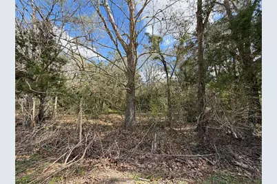 13201 SW Archer Lane, Archer, FL 32618 - Photo 3