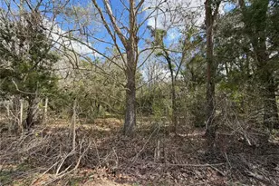 13201 SW Archer Ln, Archer, FL 32618 - Photo 3