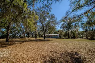 23809 NW 206th Ave, High Springs, FL 32643 - Photo 5