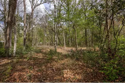 Lot 44 SW Boston Terrace, Fort White, FL 32038 - Photo 5