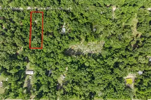 Lot 44 SW Boston Terrace, Fort White, FL 32038 - Photo 1