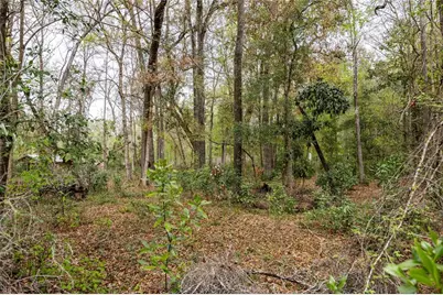 Lot 45 SW Boston Terrace, Fort White, FL 32038 - Photo 1