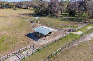 16242 NW 130th St, Williston, FL 32696 - Photo 31