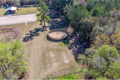 16242 NW 130th Street, Williston, FL 32696 - Photo 11